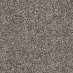 Cavalier Altitude Shard