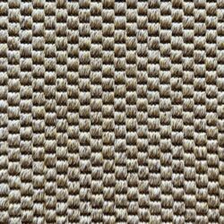 Elements Beatrix Panama Kitten