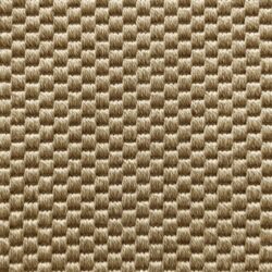 Elements Beatrix Panama Squirrel