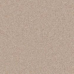 Cavalier Velveteen Buttermilk