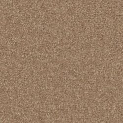 Cavalier Velveteen Caramel