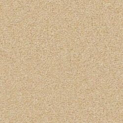 Cavalier Velveteen Duckling