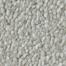 Westex Elysian Velvet Canvas