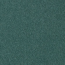 Westex Fine Westex Twist Clifton Celadon
