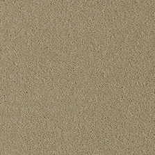 Westex Fine Westex Twist Cowleigh Cane