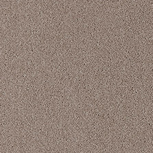 Westex Fine Westex Twist Newland Nectar