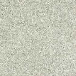 Abingdon Stainfree Sophisticat Champagne