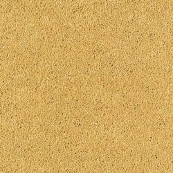 Abingdon Stainfree Sophisticat Gold