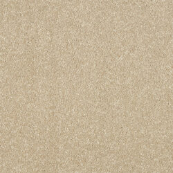 Abingdon Stainfree Maximus Twisted Cotton