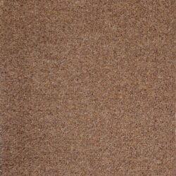 Brintons The Chroma Collection Biscotti - 4/Q2003
