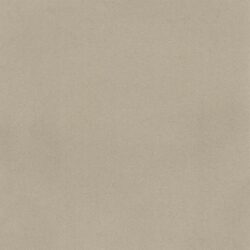 Brintons The Chroma Collection Lace - 41/Q1650