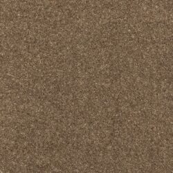 Brintons Purely Natural Twist Wentworth Brown - ET882