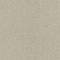 Lano Décor Biscuit 242