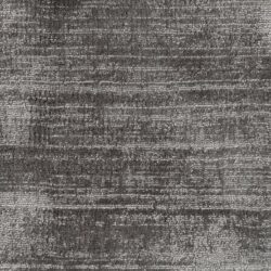 Jacaranda Santushti Fossil