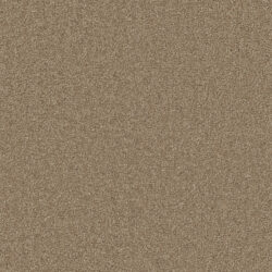 Lano Sienna Acorn 220