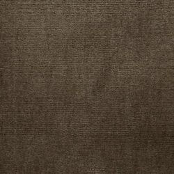 Elements Sahara Camel