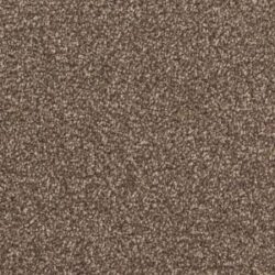 Cavalier Stainless Distinction Ibex