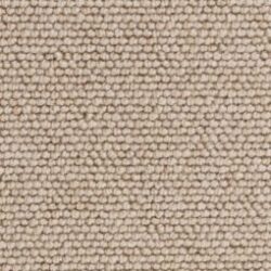 Fibre Wool Seychelles Sea Biscuit
