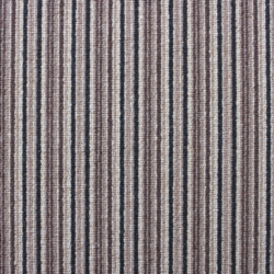 Cavalier Strata Graphite