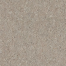 Westex Ultima Twist Sepia