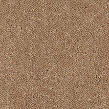Westex Ultima Twist Springbok